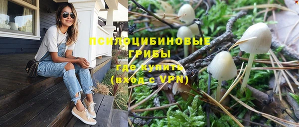 бошки Армянск