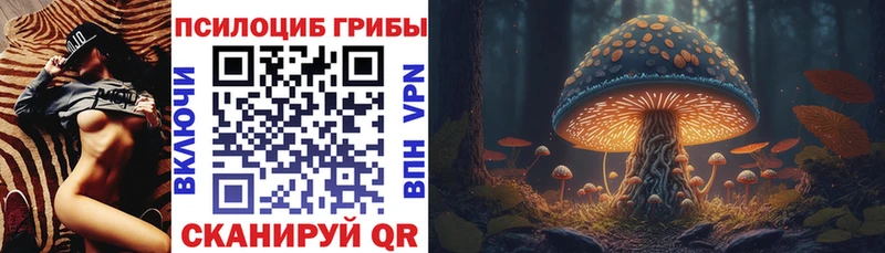 Псилоцибиновые грибы Psilocybe  Купить закладки  Зея 